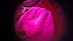 酒店摄像头偷拍 爱自拍大叔和眼镜白袜反差婊情妇开房偷情边做边拍照记录上帝视角 截图13