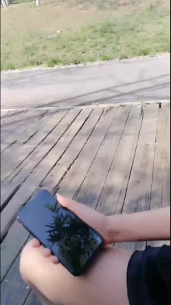 色狼在公园偶遇不穿内裤的网红美女 调戏几句就出水了 木耳粉粉的不插白不插 不时还有路人经过太他妈的刺激了对白淫荡 截图2