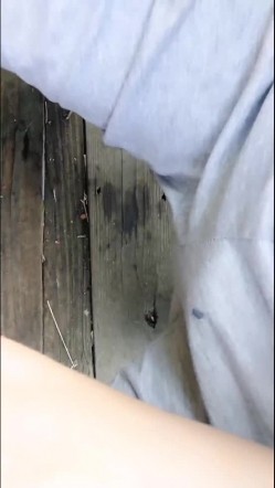 色狼在公园偶遇不穿内裤的网红美女 调戏几句就出水了 木耳粉粉的不插白不插 不时还有路人经过太他妈的刺激了对白淫荡 截图4