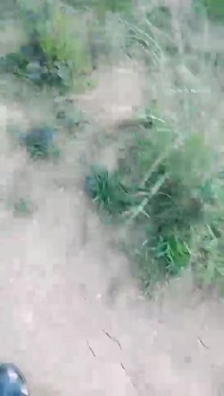 【钢炮寻爱】 户外车震~沟搭人妻熟女催情药无套内射 截图2