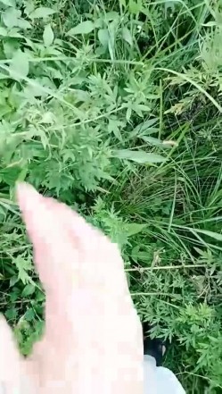 【钢炮寻爱】 户外车震~沟搭人妻熟女催情药无套内射 截图12