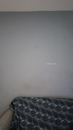 ️最新流出，良家G乳御姐【新人桃子】下海福利，劲爆骚舞大屌贴脸坐骑抠逼喷水 截图7