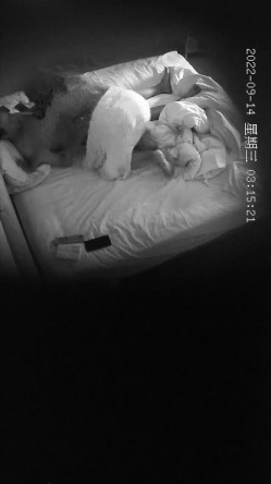 新流出酒店偷拍 ️两对男女开房其中一对男同激情做爱 截图13