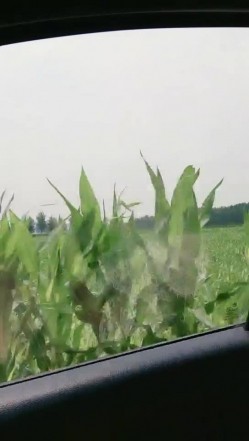 大黑鸡巴哥再草黄毛少妇，激情户外全程露脸深喉大鸡巴激情开干，掰着骚逼让大哥草菊花，淫声荡语激情不断 截图3