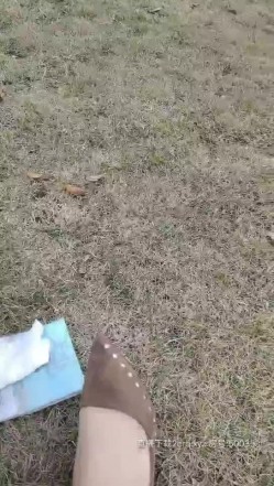 迷情骚货户外坐在地上AV棒刺激骚逼调情，公测内开始耍流氓了，站着尿尿草逼，楼梯安全出口门前后入刺激 截图1