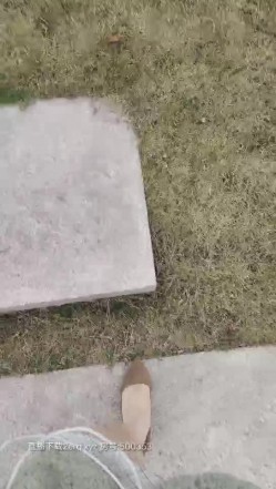 迷情骚货户外坐在地上AV棒刺激骚逼调情，公测内开始耍流氓了，站着尿尿草逼，楼梯安全出口门前后入刺激 截图8