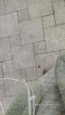 迷情骚货户外坐在地上AV棒刺激骚逼调情，公测内开始耍流氓了，站着尿尿草逼，楼梯安全出口门前后入刺激 截图10
