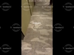 推特原创博主，【桃子taozitao12】，蜜桃臀淫妻，爱分享的绿帽老公，喜欢多人运动，长期招募单男！ 截图3