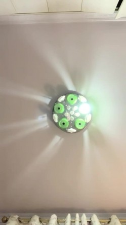 明星脸，几万粉丝的小网红，【偷走一头猪】，清秀女神~长腿骚舞~道具黑牛~逼会下蛋，走在街上回头率肯定高 截图14