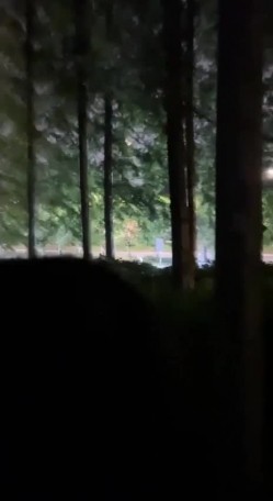 顶级约炮大神 推特【一杆钢枪】顶级大神开发清纯大学生 叫上兄弟一起操 截图8