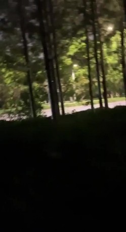顶级约炮大神 推特【一杆钢枪】顶级大神开发清纯大学生 叫上兄弟一起操 截图10