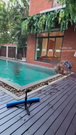 糖葫芦防身术传人 (happyuncle69) 挑战与多位不熟的女孩们出国生活一周 截图1