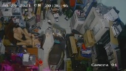 黑客破解摄像头监控偷拍 电脑维修店内夫妻口爆啪啪 超刺激！ 截图2