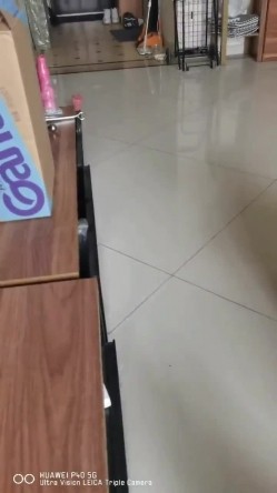 【极品流出 ️恋爱性陷阱】圈养调教大学母狗『二月』无下限性开发实录 完美曝光真实还原母狗成长变化 截图16