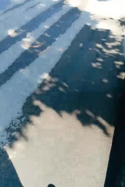 野战夫妻路边树林玩到车内车震，路边行人匆匆还有乘凉的大爷，车内激情口活上位暴力后入，浪叫呻吟不断够刺激 截图3