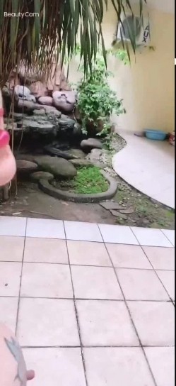 数百位网红母狗性爱甄选 爆乳粉穴网红淫乱性爱 完美露脸 截图11