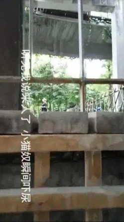 国产自拍强片推荐作品--带着少妇情人景区玩露出自慰被路人发现吓尿了,站起来就跑,边跑边穿内裤！国语对白！ 截图10