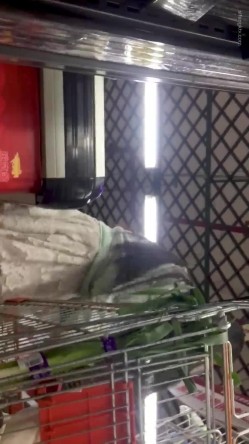 《极限CD大师重磅 作品》女神级别清一色的气质小姐姐！冒险贴身抄底多位裙子美女各种骚丁真空无内小风一吹凉快极了 截图14