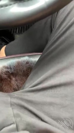 海角我的巨乳亲表姐，极品大奶乳晕完美，乳交超爽，被艹的时候晃呀晃太刺激了 截图1
