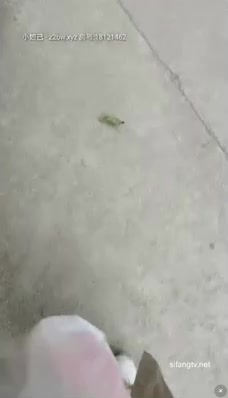 非常风骚的眼镜御姐老师小穴塞跳蛋给学生上课,受不了躲进厕所发骚 截图13
