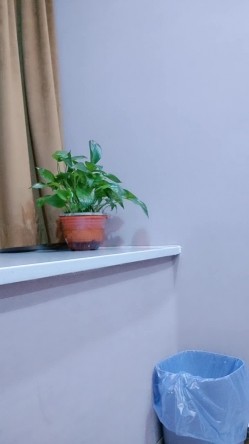 宝贝快来，露脸美女约啪附近大哥激情啪啪刺激狼友，舔弄大鸡巴深喉，激情上位后入抽插，浪叫呻吟不止好刺激 截图15