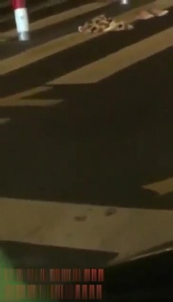 最新门事件醉酒女半夜脱光光在马路中间模拟性交被路过的司机按喇叭围观喝彩 截图16