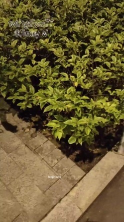 深夜，成都双流的街头，【Fxxc77】，土豪哥户外高价定制，23岁公司前台，裸体露出，湿得一塌煳涂 截图15