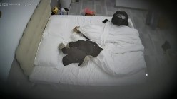 酒店偷拍连续3天入住表面乖巧实际反差的可爱女友换各情趣拍照和男友啪啪 截图13