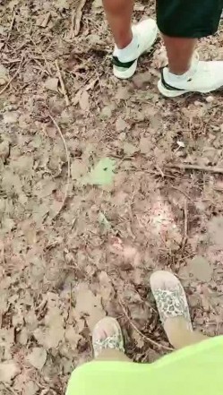 短发少妇跟大哥户外激情啪啪，口交大黑鸡巴让大哥舔逼站着爆草抽插浪荡呻吟，回到车里继续干骚穴精彩刺激 截图5