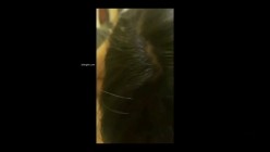 半夜偷熘进嫂子房间，狂草嫂子，第一次足交颜射嫂子，嫂子高潮淫语不断 截图5