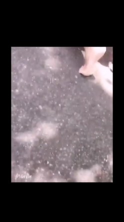你的女神大佬的母狗~专业SM社区字母圈神人【DOM窒息】调教作品 粉丝投稿绝版 截图1