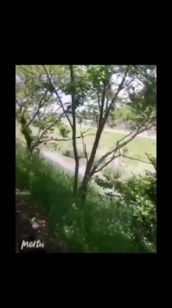 你的女神大佬的母狗~专业SM社区字母圈神人【DOM窒息】调教作品 粉丝投稿绝版 截图14
