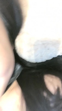 高颜值骚气妹子【童颜巨乳】跳蛋震动肥逼，近距离特写搞得很湿毛毛非常浓密，很湿诱惑 截图7