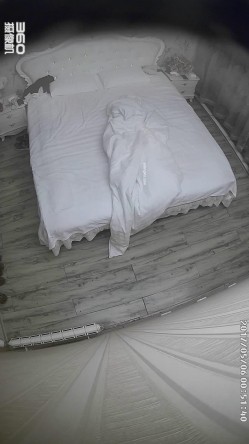《经典咏流传 360摄像机》甄选稀缺欧式俯视大床房 各种男女朋友奸夫淫妇偸情滚床单淫声浪语花样体位激情澎湃 截图13