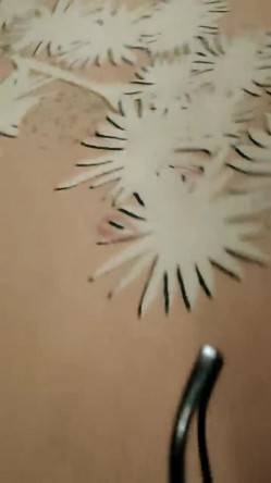 推荐，美景美人，三亚沙滩露出，【自驾神探】，带闺蜜一起下海，免税店露出，玩得就是心跳和刺激，年度大作 截图7