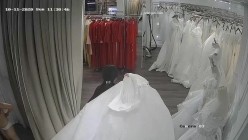 70元新作黑客【破解摄像头】 ️重磅 超清摄像头之最美新娘伴娘 截图5