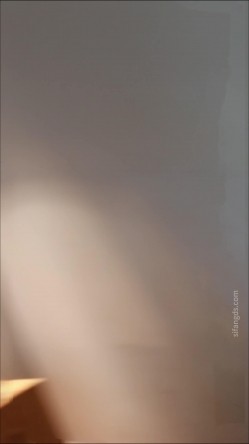 重磅【大学生私密拍摄】明星颜值长得很像白鹿的模特 大尺度私拍泄密流出 截图15