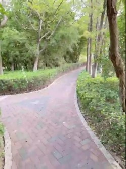 公园野战，小母狗骚逼和屁眼抖塞着道具，JK制服，无内露出，后入 截图9