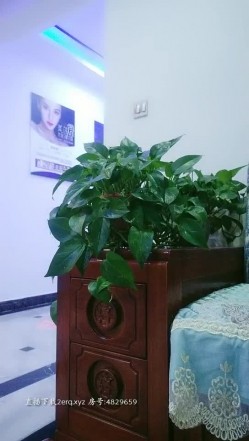 气质大姐上班期间受不住寂寞，先真空上阵看看有没有人就开始骚了，拿注射器给奶子和逼逼屁眼打水，又刺激又骚 截图2