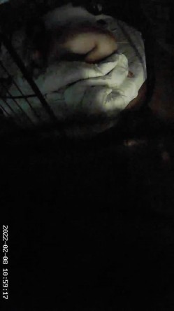 【萤石云酒店】颜射吞精拍照留念18V,拍照留念记录美好性福瞬间统统都有，美女少妇舔鸡巴的时候摇头晃脑 截图7