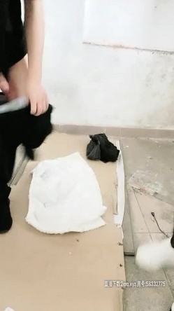 车上的小骚逼已经饥渴到不行了，拉到没人住的破房子里开始干活，黑丝高跟露脸，暴力口交多体位抽插玩虐她 截图11