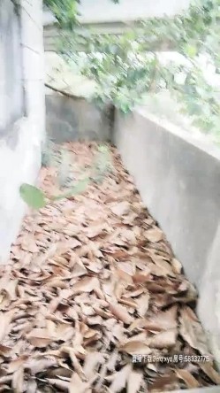 车上的小骚逼已经饥渴到不行了，拉到没人住的破房子里开始干活，黑丝高跟露脸，暴力口交多体位抽插玩虐她 截图13
