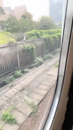 千里送逼，坐上高铁去约炮，【妖娆小宝贝】，美腿御姐，高铁厕所自慰，奥迪车震 截图5