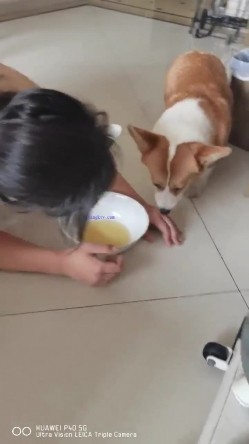 【极品流出 ️恋爱性陷阱】圈养调教大学母狗『二月』无下限性开发实录 完美曝光真实还原母狗成长变化 截图4