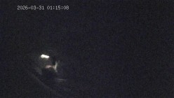 酒店偷拍 ️美女俏皮的逗弄男友鸡巴被按住屁股后入最后射嘴里 截图6
