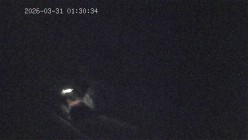 酒店偷拍 ️美女俏皮的逗弄男友鸡巴被按住屁股后入最后射嘴里 截图8