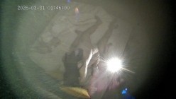 酒店偷拍 ️美女俏皮的逗弄男友鸡巴被按住屁股后入最后射嘴里 截图10