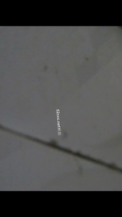 【女厕偷拍系列】沟厕各种大屁股 截图13