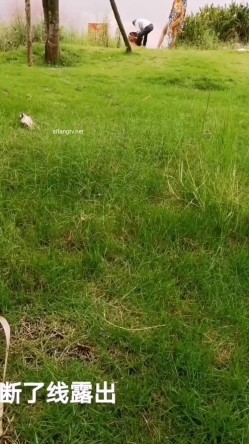 极限露出天花板，反差婊【风筝断了线】全裸买水果，戴着各种自慰道具裸行，路边性爱 截图12