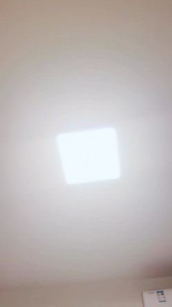 极品尤物美御姐！情趣内衣吊带黑丝！拨开丁字裤跳蛋震穴，翘起屁股特写，假屌手指抽插扣弄 截图10